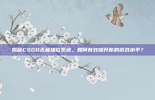 揭秘CSGO无极排位系统，如何有效提升你的游戏水平？