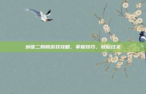蚌医二附院游戏攻略，掌握技巧，轻松过关