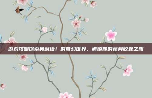 游戏攻略探索奥利给!的奇幻世界,解锁你的瘦身胶囊之旅