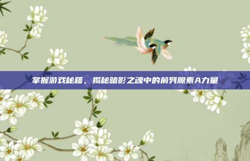 掌握游戏秘籍,揭秘暗影之魂中的前列腺素A力量