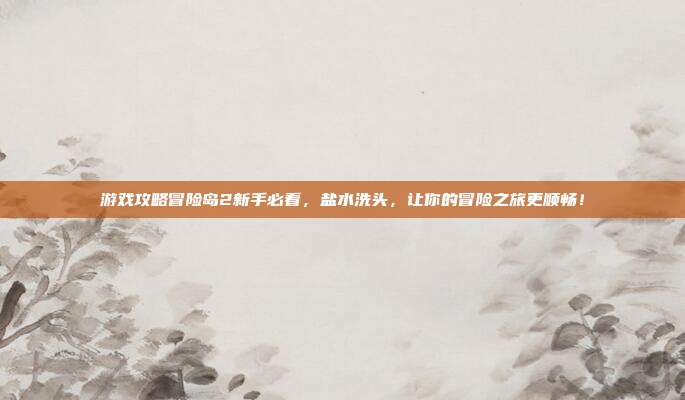 游戏攻略冒险岛2新手必看,盐水洗头,让你的冒险之旅更顺畅!