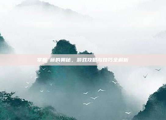 掌握榼藤的奥秘,游戏攻略与技巧全解析