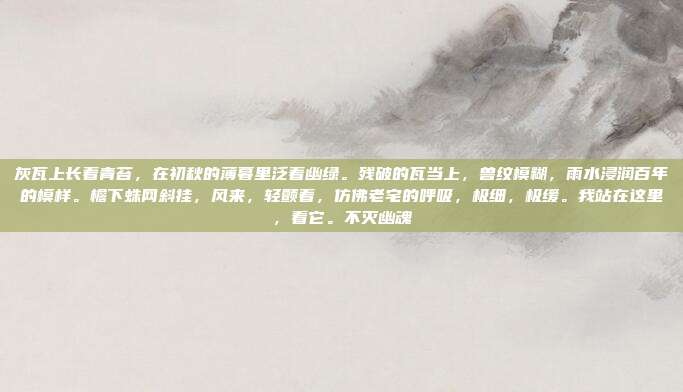 灰瓦上长着青苔，在初秋的薄暮里泛着幽绿。残破的瓦当上，兽纹模糊，雨水浸润百年的模样。檐下蛛网斜挂，风来，轻颤着，仿佛老宅的呼吸，极细，极缓。我站在这里，看它。不灭幽魂