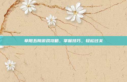 阜阳五院游戏攻略，掌握技巧，轻松过关