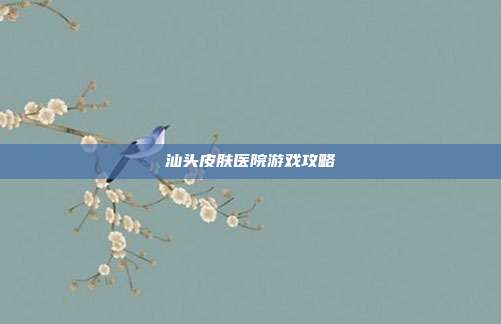 汕头皮肤医院游戏攻略