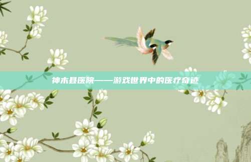 神木县医院——游戏世界中的医疗奇迹