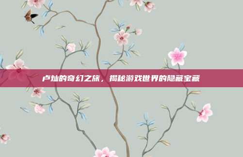 卢灿的奇幻之旅，揭秘游戏世界的隐藏宝藏