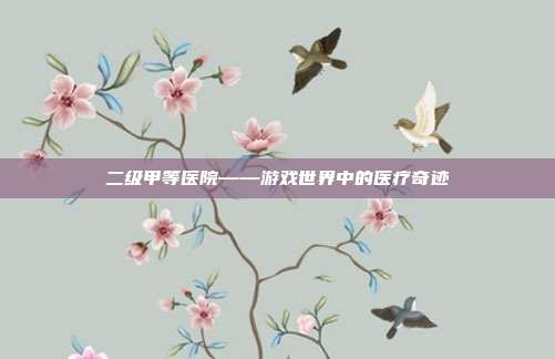 二级甲等医院——游戏世界中的医疗奇迹
