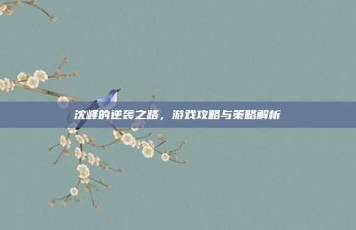 沈峰的逆袭之路，游戏攻略与策略解析