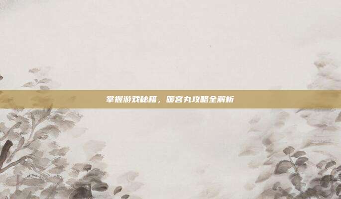 掌握游戏秘籍，暖宫丸攻略全解析