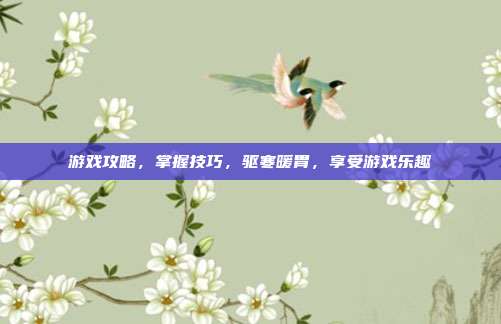 游戏攻略，掌握技巧，驱寒暖胃，享受游戏乐趣