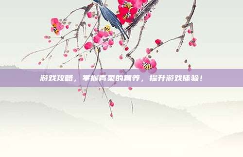 游戏攻略，掌握青菜的营养，提升游戏体验！