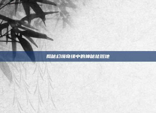 揭秘幻境奇缘中的神秘祛斑地