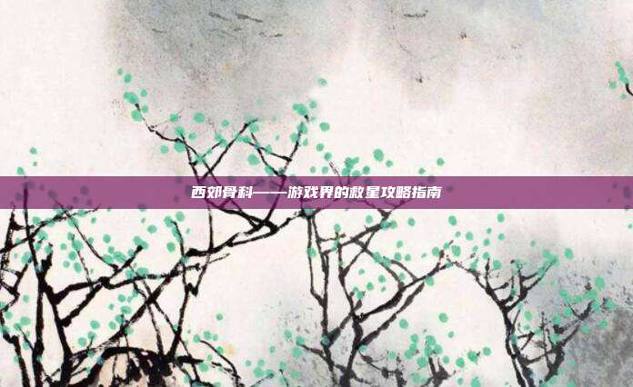 西郊骨科——游戏界的救星攻略指南