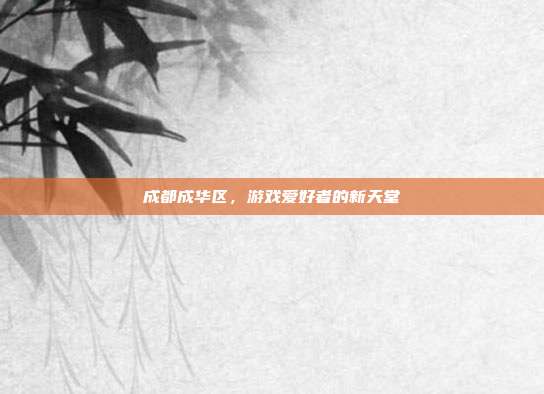 成都成华区，游戏爱好者的新天堂