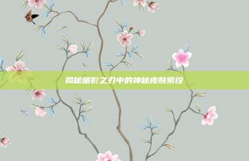 揭秘暗影之刃中的神秘皮肤紫纹