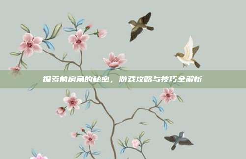 探索前房角的秘密，游戏攻略与技巧全解析