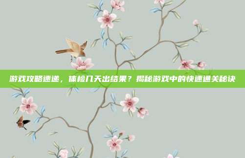 游戏攻略速递，体检几天出结果？揭秘游戏中的快速通关秘诀