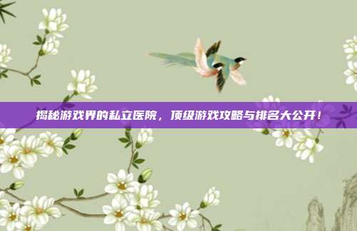 揭秘游戏界的私立医院，顶级游戏攻略与排名大公开！