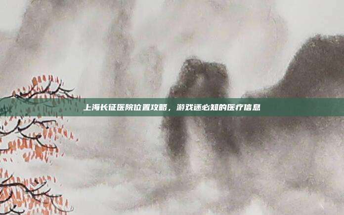 上海长征医院位置攻略，游戏迷必知的医疗信息