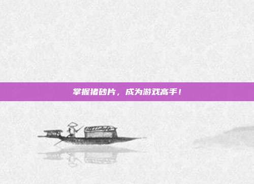 掌握猪砂片，成为游戏高手！