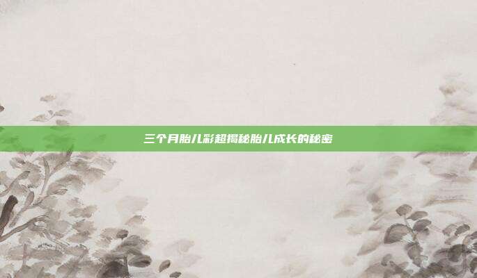 三个月胎儿彩超揭秘胎儿成长的秘密
