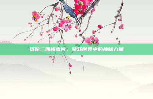 揭秘二期梅毒片，游戏世界中的神秘力量