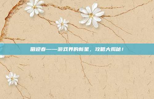 田迎春——游戏界的新星，攻略大揭秘！