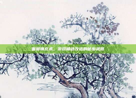 面部填充术,游戏角色改造的秘密武器