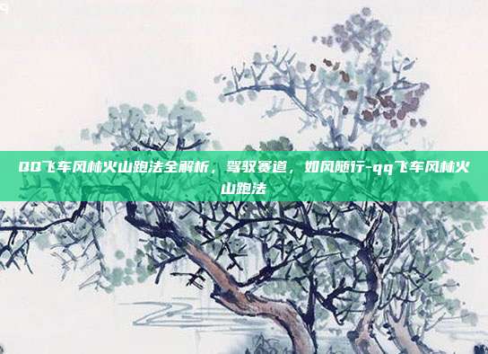 QQ飞车风林火山跑法全解析，驾驭赛道，如风随行-qq飞车风林火山跑法