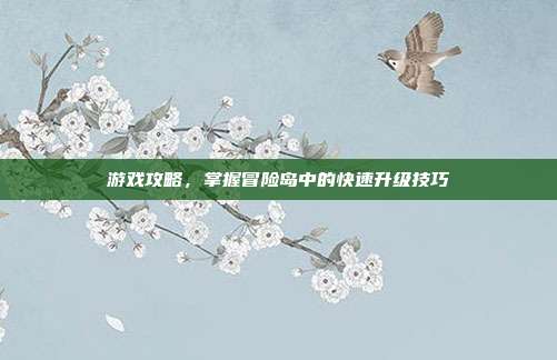 游戏攻略，掌握冒险岛中的快速升级技巧