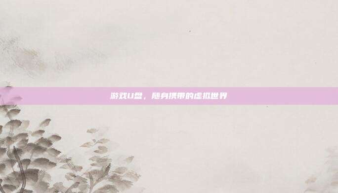 游戏U盘，随身携带的虚拟世界