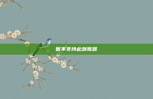 暂不支持此浏览器