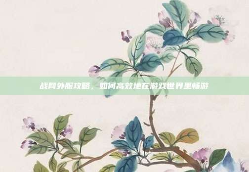 战网外服攻略，如何高效地在游戏世界里畅游