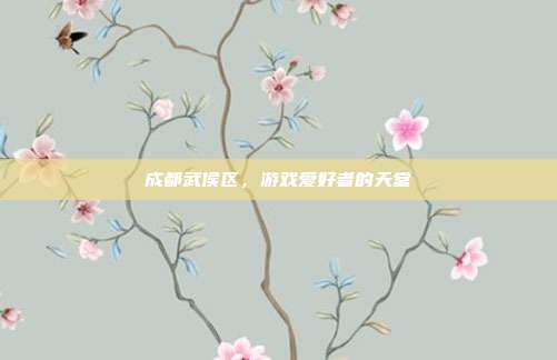 成都武侯区，游戏爱好者的天堂