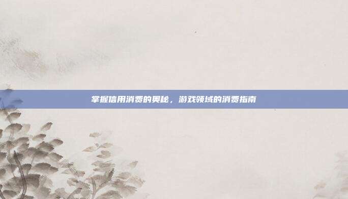 掌握信用消费的奥秘，游戏领域的消费指南