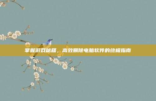 掌握游戏秘籍,高效删除电脑软件的终极指南