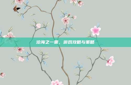沧海之一粟,游戏攻略与策略