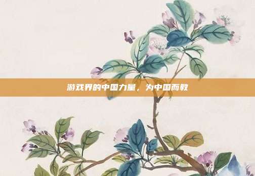 游戏界的中国力量，为中国而教