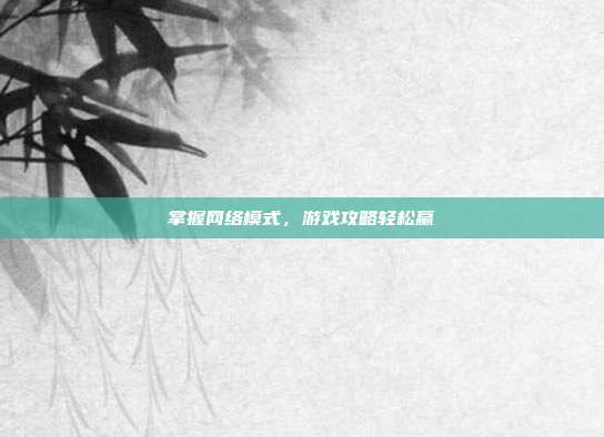掌握网络模式，游戏攻略轻松赢