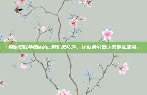 揭秘星际争霸2的C盘扩展技巧，让你的游戏之路更加顺畅！