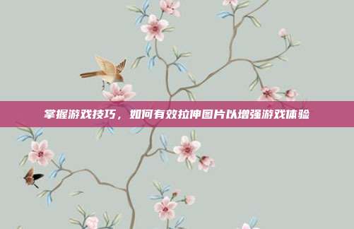 掌握游戏技巧，如何有效拉伸图片以增强游戏体验