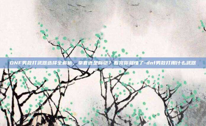 DNF男散打武器选择全解析,拳套还是臂铠?看完你就懂了-dnf男散打用什么武器