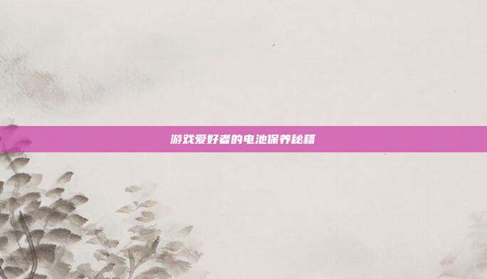 游戏爱好者的电池保养秘籍