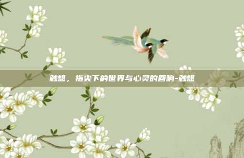 触想，指尖下的世界与心灵的回响-触想