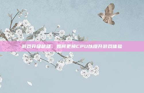 游戏升级秘籍，如何更换CPU以提升游戏体验