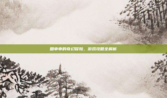 田申申的奇幻冒险，游戏攻略全解析