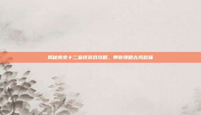 揭秘南京十二金钗游戏攻略,带你领略古风韵味