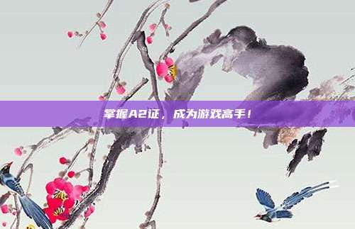 掌握A2证,成为游戏高手!
