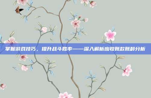 掌握游戏技巧，提升战斗胜率——深入解析应收账款账龄分析